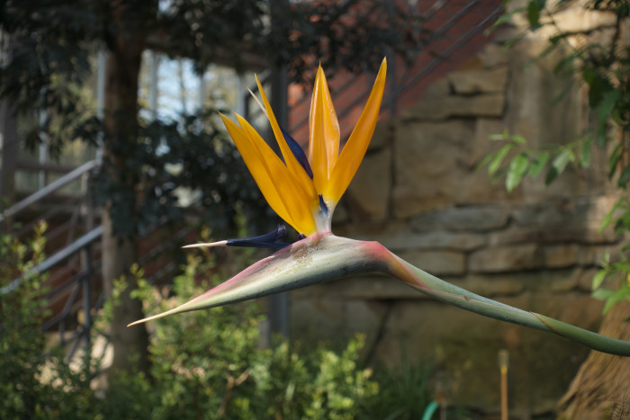 Das RAW-Bild, entrauscht und nachgeschärft mit Topaz Photo AI (Bild: Tobias Költzsch/Golem.de)